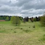Münsinger Beutenlay